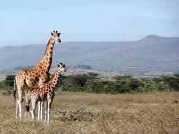 Parc National de la Kéran